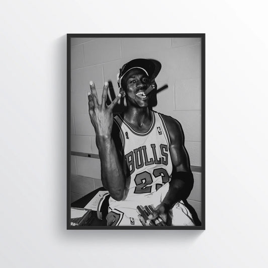Jordan Iconic B&W